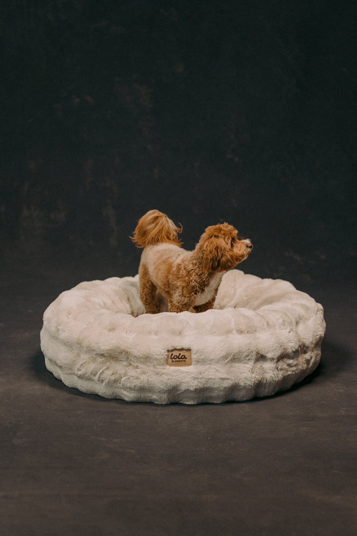 The Lola Bubble Pet Bed | Cappuccino